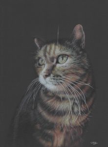 Portrait de mon chat au dessin traditionnel