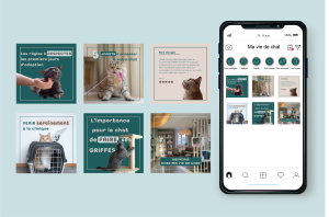 Mockup feed Insta pour Ma Vie de Chat